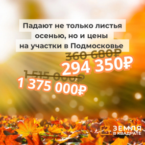 Падают не только листья осенью, но и цены на участки в Подмосковье 