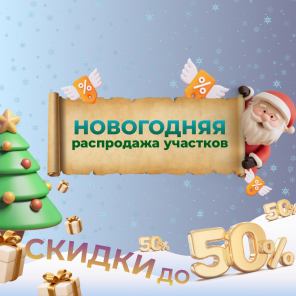 Дарим новогодние скидки до 50%