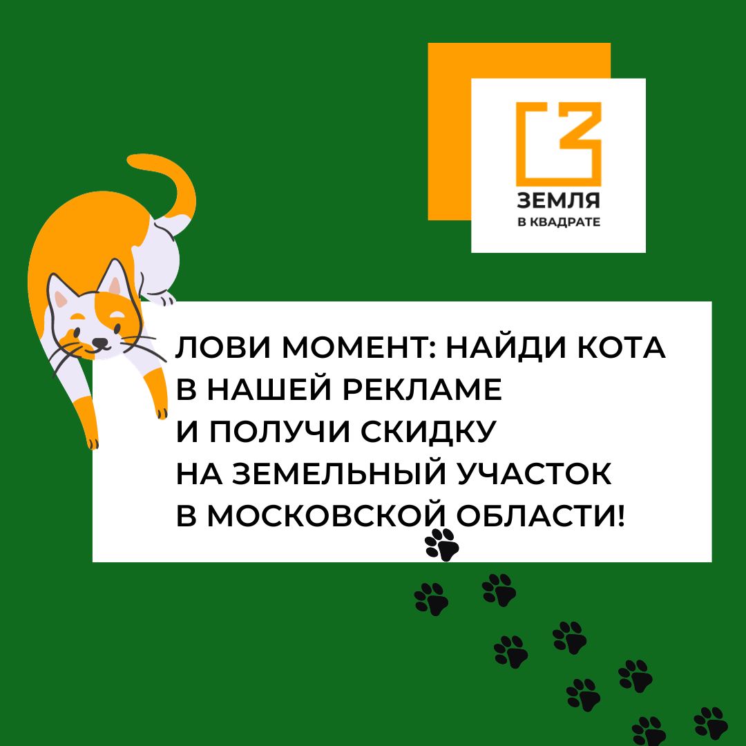 Лови момент: Найди кота в нашей рекламе и получи скидку 1% на земельный  участок в Московской области! - Земля в квадрате - дачные, ижс, кфх и  промышленные земельные участки в ближнем Подмосковье