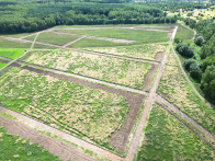 Специальное предложение Бубновский Лес