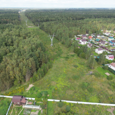 Синяя птица