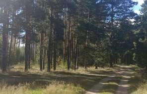 Дорога