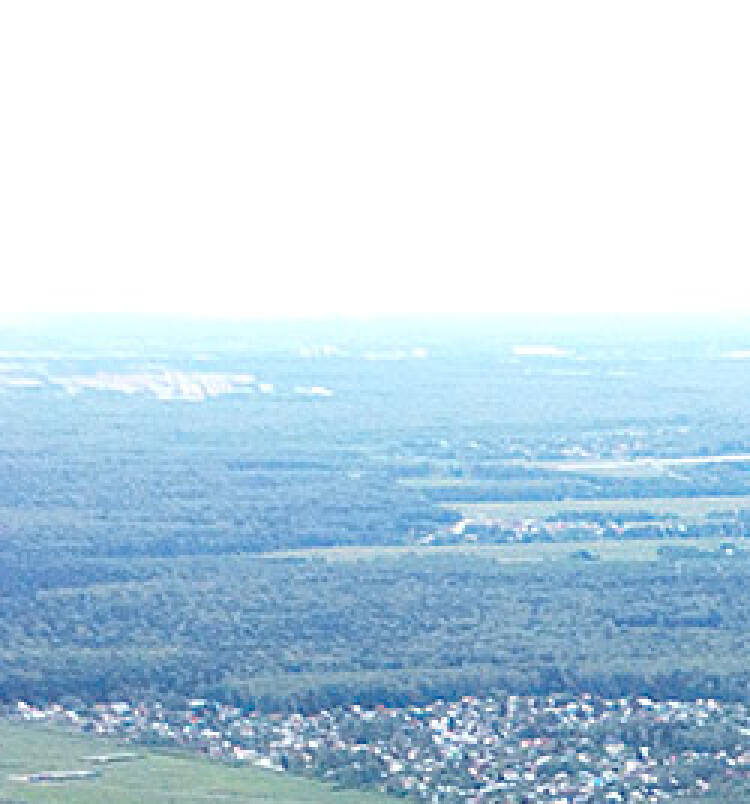 Фатеево Парк уч.№87 - Земельный участок кадастровый номер 50:17:0030202:1576