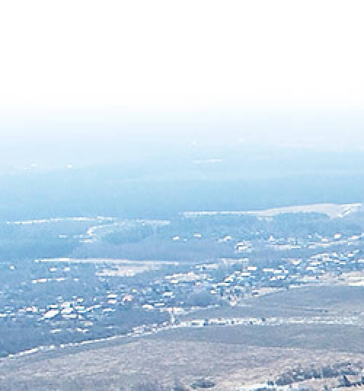 Фатеево Парк уч.№229 - Земельный участок кадастровый номер 50:17:0030202:1501