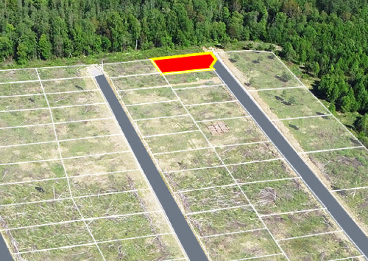 Волконское уч.№16 - Земельный участок кадастровый номер 40:03:011005:386