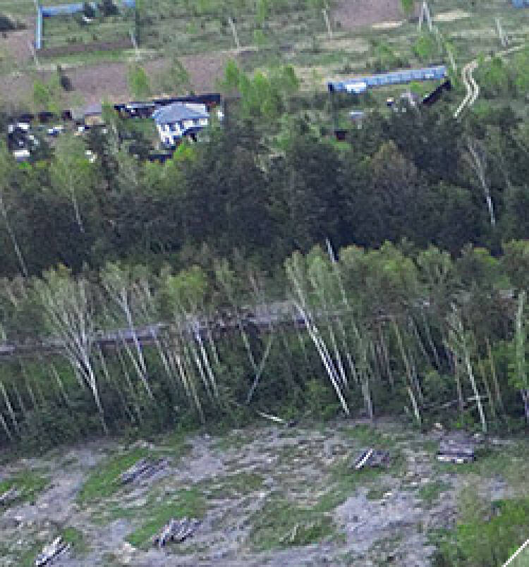 Новые Ромашки уч.№131 - Земельный участок кадастровый номер 50:17:0021901:507