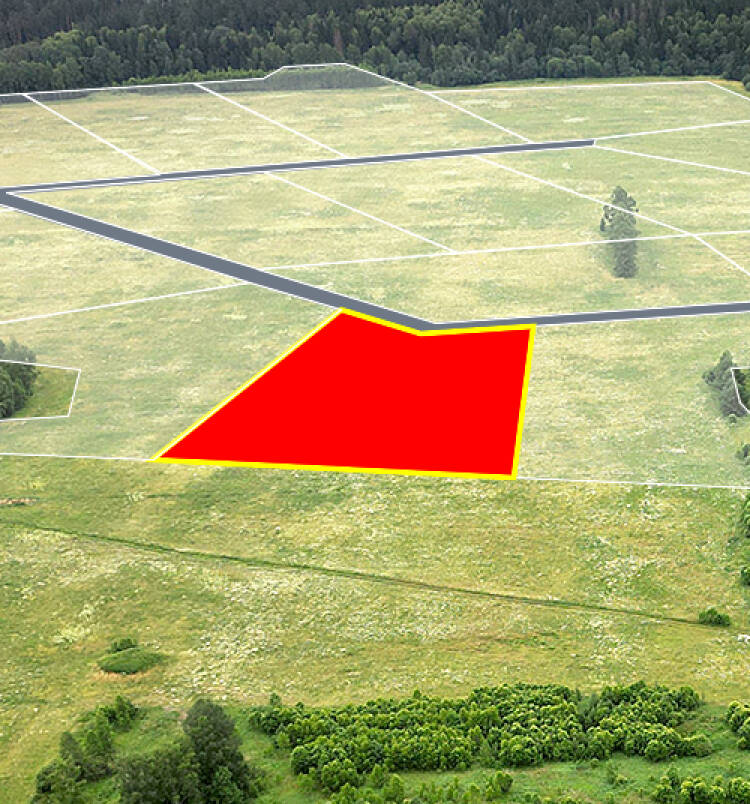 Семейкино уч.№16 - Земельный участок кадастровый номер 50:18:0050202:1109