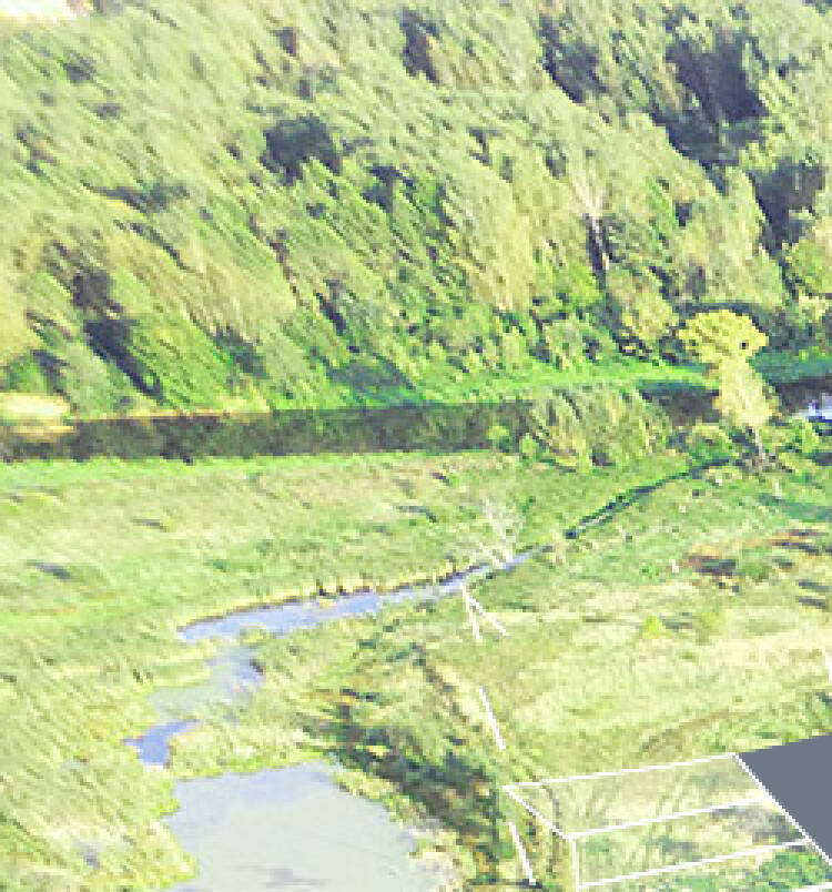 Зеленый берег уч.№113 - Земельный участок кадастровый номер 50:17:0020405:1274