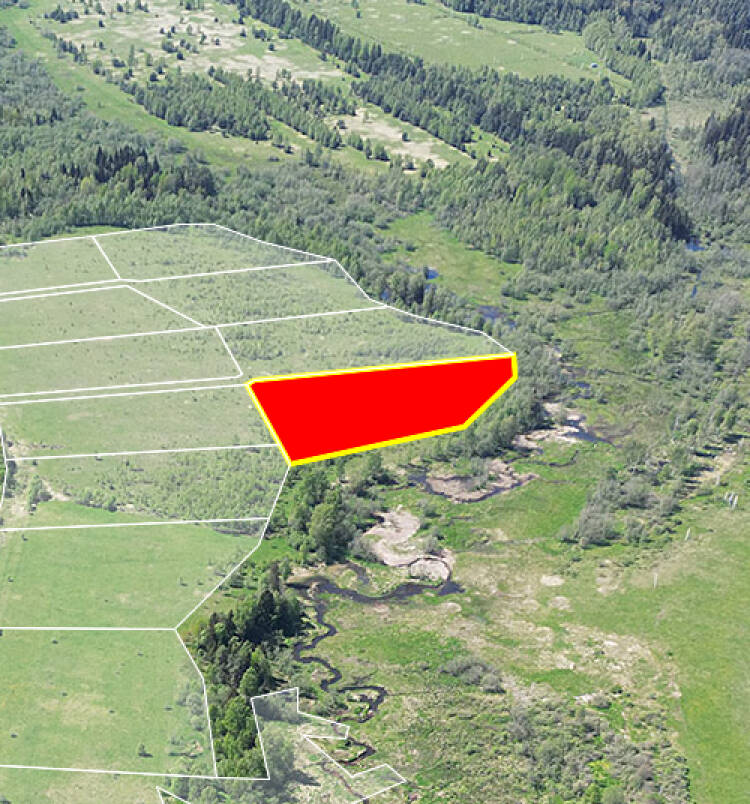 Махов луг уч.№14 - Земельный участок кадастровый номер 50:18:0050303:463