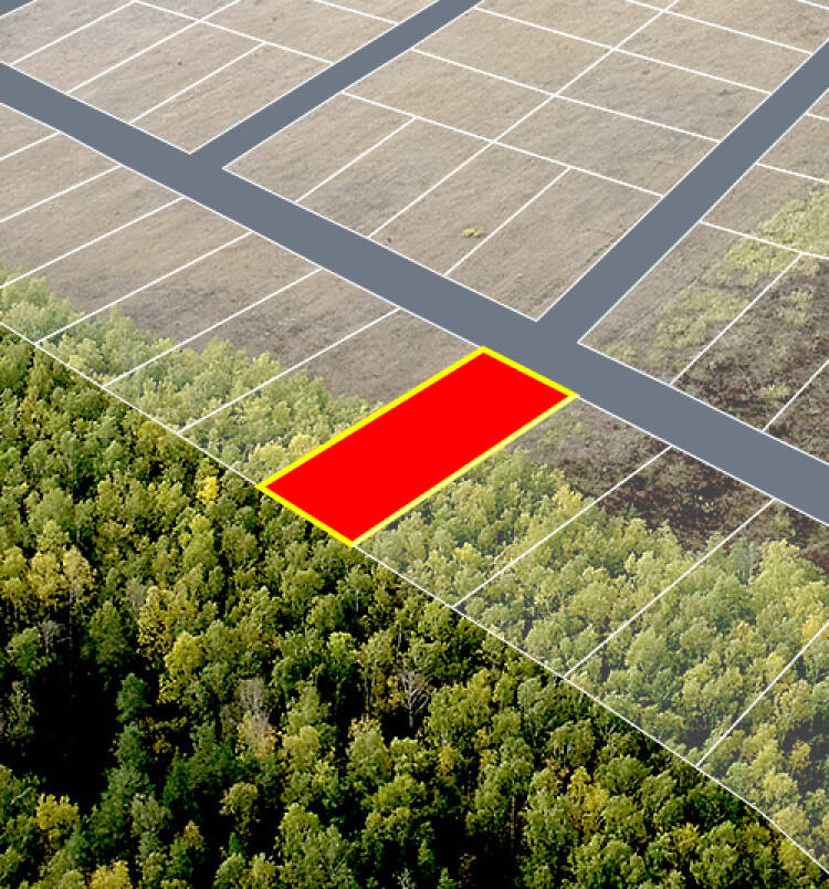 Егорки уч.№219 - Земельный участок кадастровый номер 50:30:0020117:812