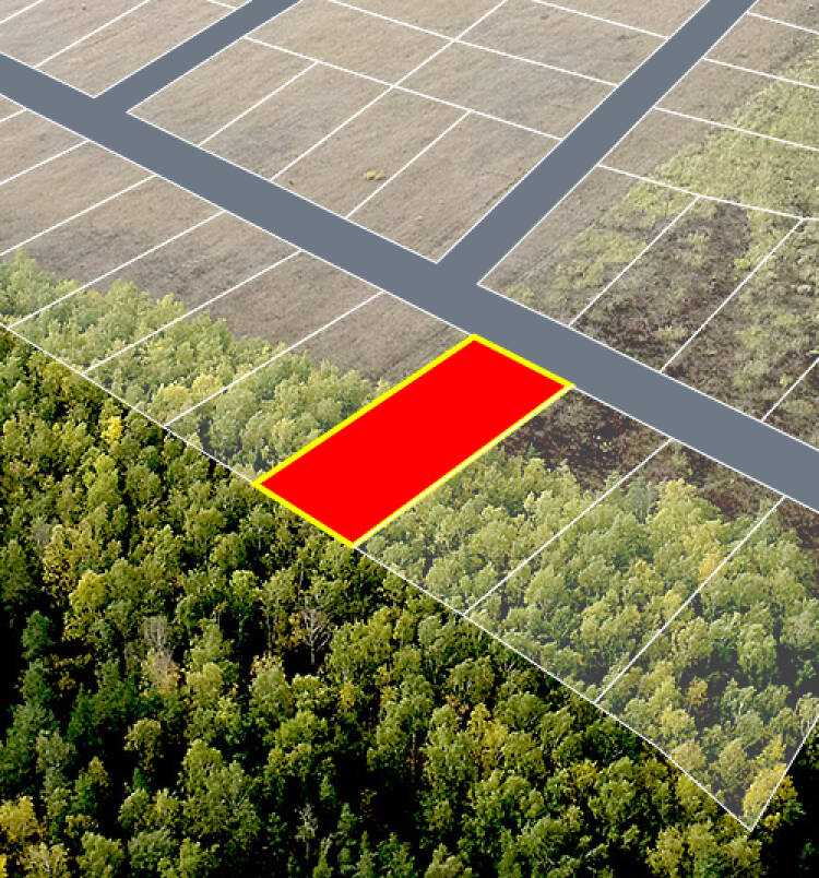 Егорки уч.№218 - Земельный участок кадастровый номер 50:30:0020117:813