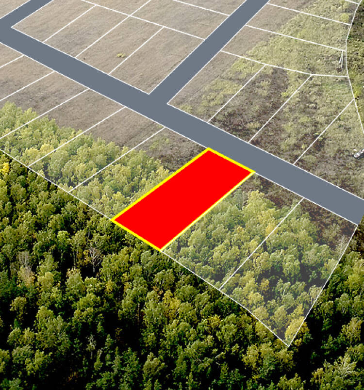 Егорки уч.№217 - Земельный участок кадастровый номер 50:30:0020117:814