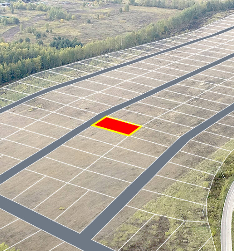 Егорки уч.№115 - Земельный участок кадастровый номер 50:30:0020117:903