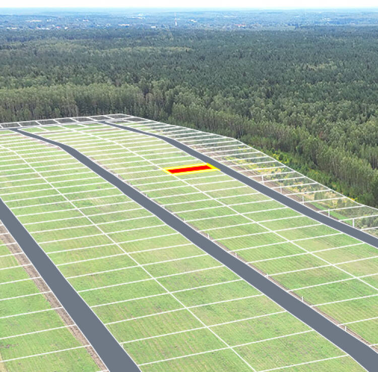 Егорки уч.№51 - Земельный участок кадастровый номер 50:30:0020117:870