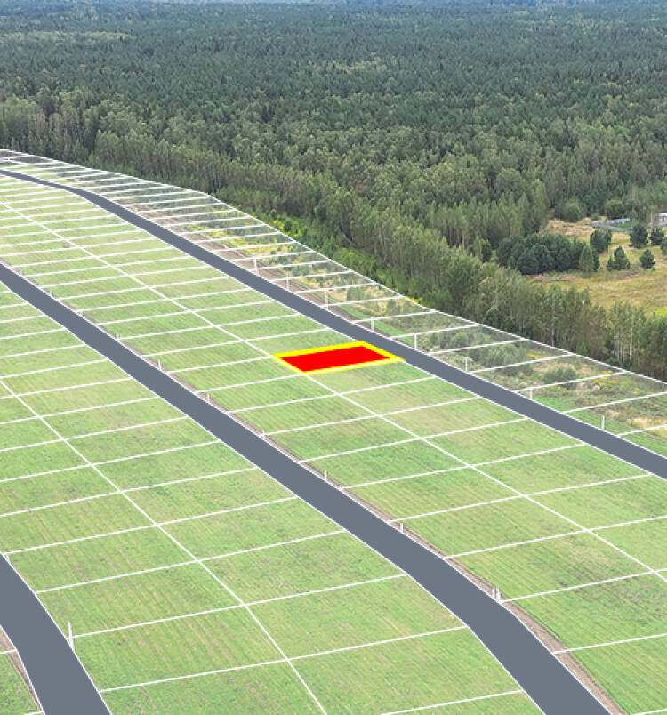 Егорки уч.№60 - Земельный участок кадастровый номер 50:30:0020117:701