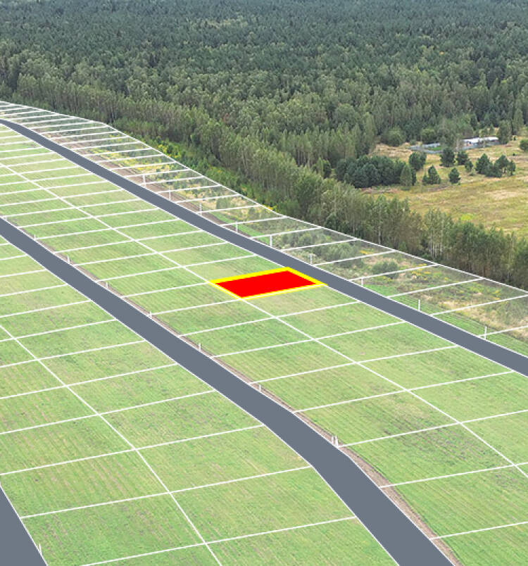 Егорки уч.№62 - Земельный участок кадастровый номер 50:30:0020117:703