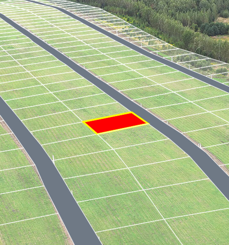 Егорки уч.№137 - Земельный участок кадастровый номер 50:30:0020117:763