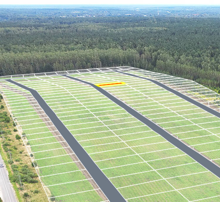 Егорки уч.№101 - Земельный участок кадастровый номер 50:30:0020117:835