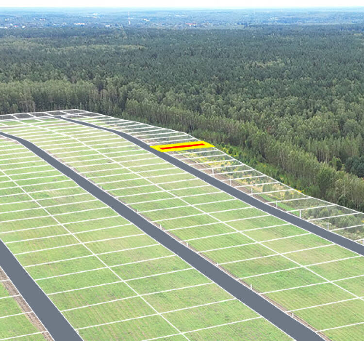 Егорки уч.№24 - Земельный участок кадастровый номер 50:30:0020117:843