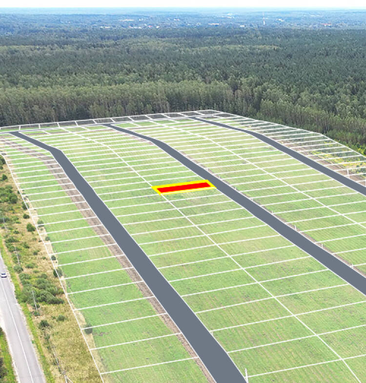 Егорки уч.№125 - Земельный участок кадастровый номер 50:30:0020117:850