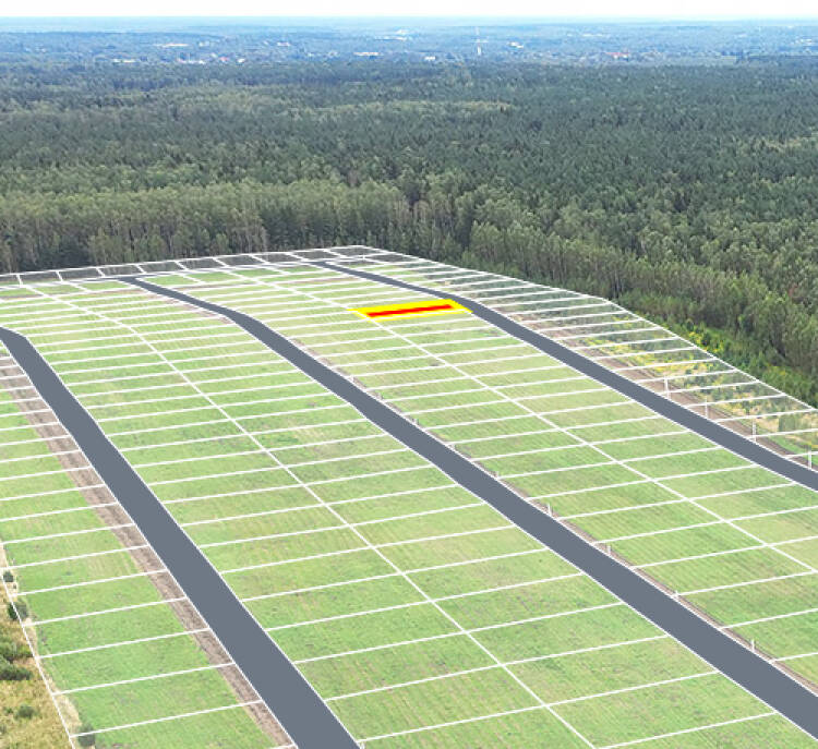 Егорки уч.№45 - Земельный участок кадастровый номер 50:30:0020117:857