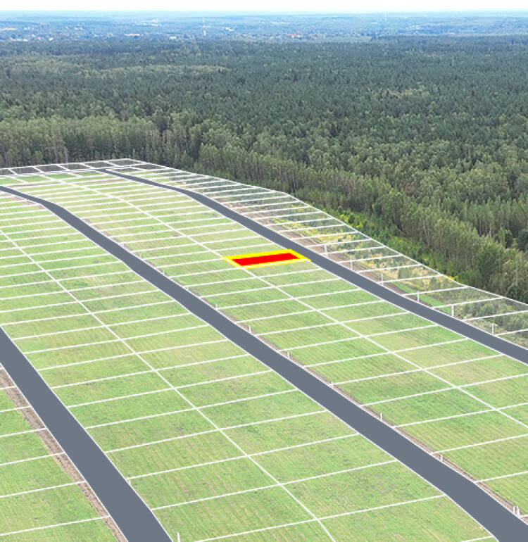 Егорки уч.№54 - Земельный участок кадастровый номер 50:30:0020117:876