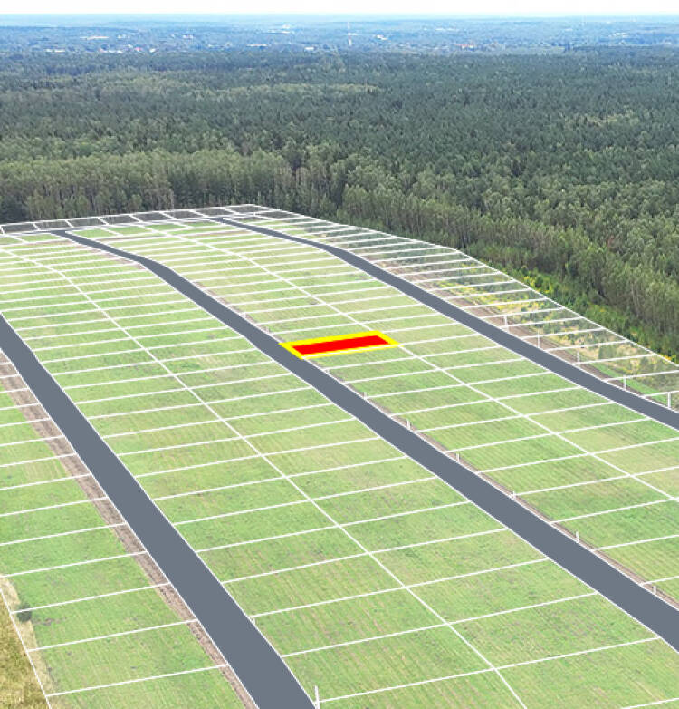 Егорки уч.№91 - Земельный участок кадастровый номер 50:30:0020117:878