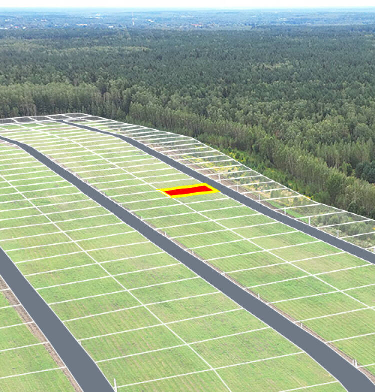 Егорки уч.№55 - Земельный участок кадастровый номер 50:30:0020117:879