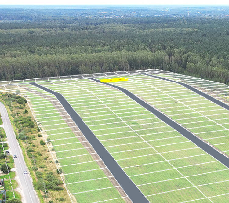 Егорки уч.№106 - Земельный участок кадастровый номер 50:30:0020117:887