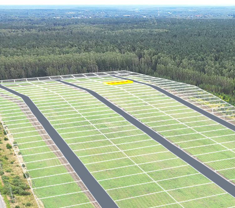 Егорки уч.№41 - Земельный участок кадастровый номер 50:30:0020117:894