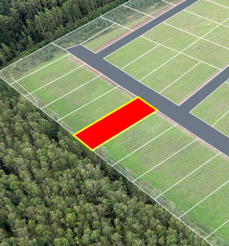 Егорки уч.№225 - Земельный участок кадастровый номер 50:30:0020117:805