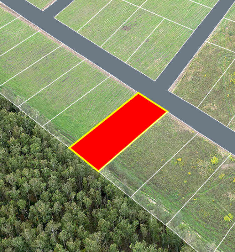 Егорки уч.№219 - Земельный участок кадастровый номер 50:30:0020117:812