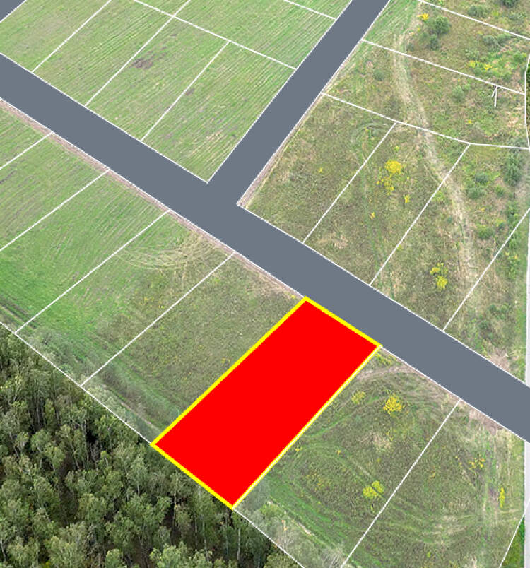 Егорки уч.№217 - Земельный участок кадастровый номер 50:30:0020117:814