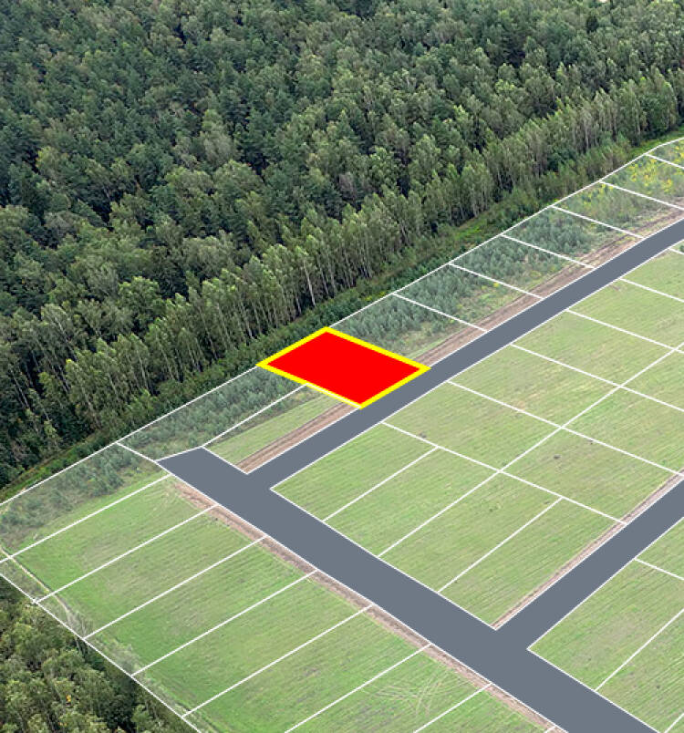 Егорки уч.№34 - Земельный участок кадастровый номер 50:30:0020117:834