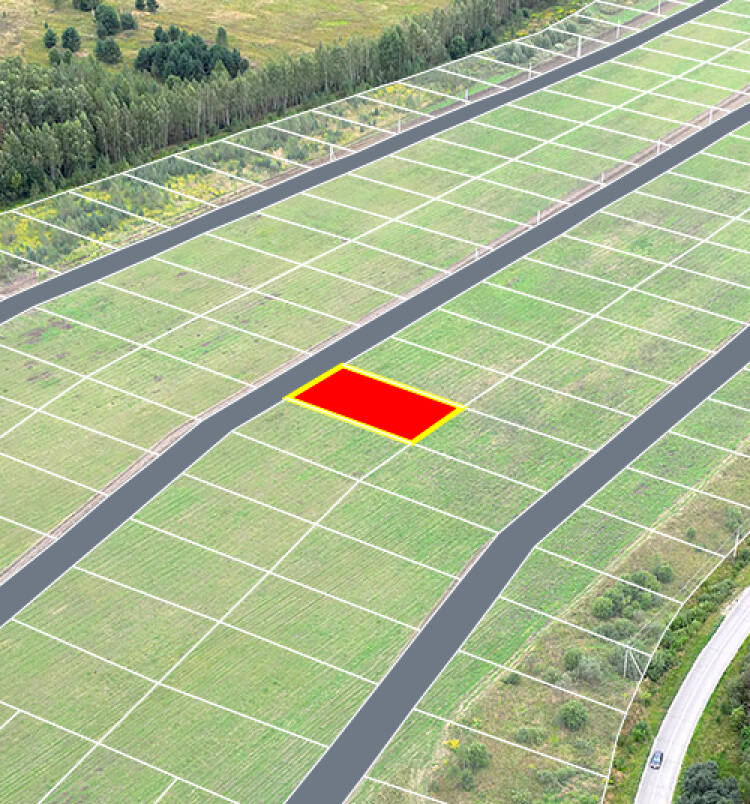 Егорки уч.№117 - Земельный участок кадастровый номер 50:30:0020117:836