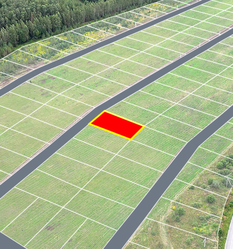 Егорки уч.№115 - Земельный участок кадастровый номер 50:30:0020117:903