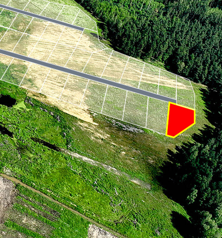 Фатеево Парк-2 уч.№93 - Земельный участок кадастровый номер 50:17:0030202:1193