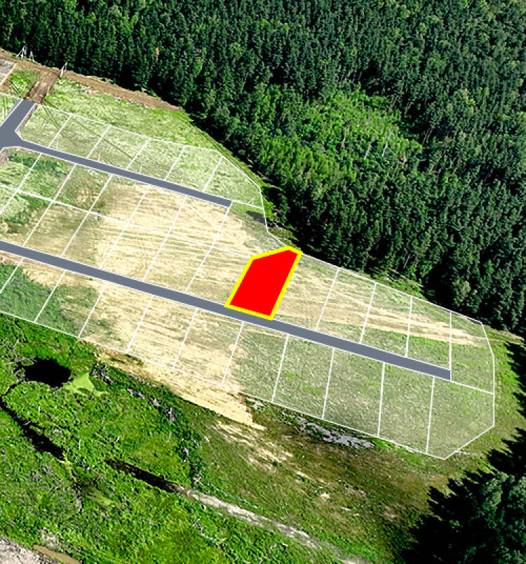 Фатеево Парк-2 уч.№87 - Земельный участок кадастровый номер 50:17:0030202:1203