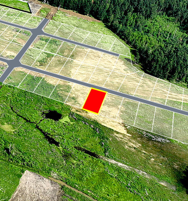 Фатеево Парк-2 уч.№99 - Земельный участок кадастровый номер 50:17:0030202:1208