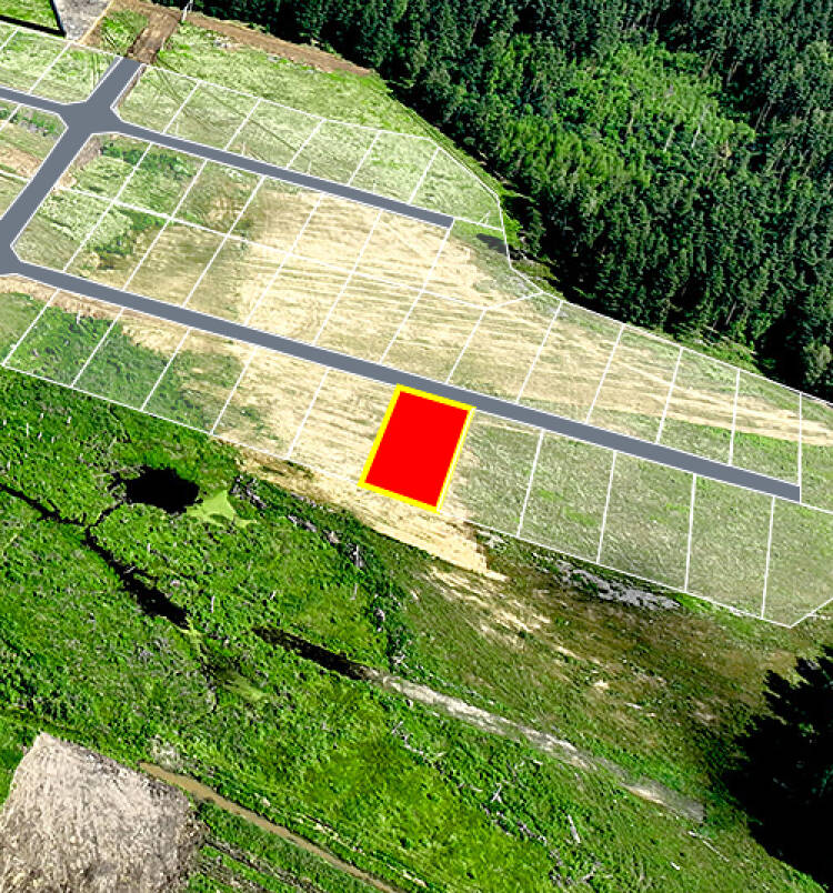 Фатеево Парк-2 уч.№98 - Земельный участок кадастровый номер 50:17:0030202:1209