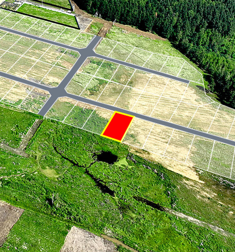 Фатеево Парк-2 уч.№101 - Земельный участок кадастровый номер 50:17:0030202:1211