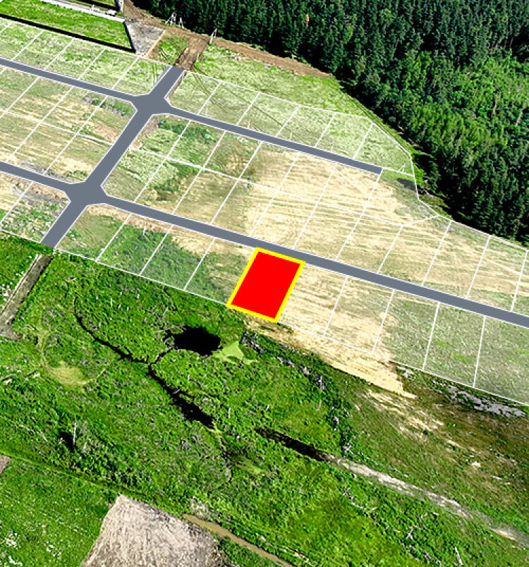 Фатеево Парк-2 уч.№100 - Земельный участок кадастровый номер 50:17:0030202:1212