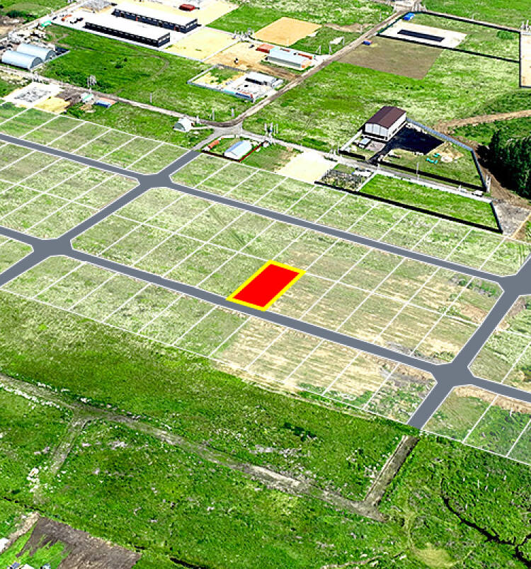 Фатеево Парк-2 уч.№74 - Земельный участок кадастровый номер 50:17:0030202:1231