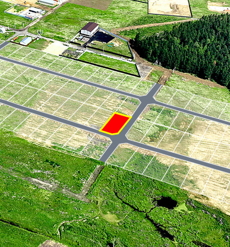 Фатеево Парк-2 уч.№79 - Земельный участок кадастровый номер 50:17:0030202:1237