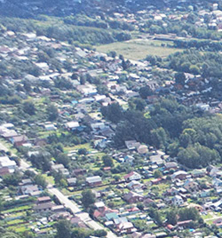 Трубицыно Лесное уч.№165 - Земельный участок кадастровый номер 50:17:0021204:523