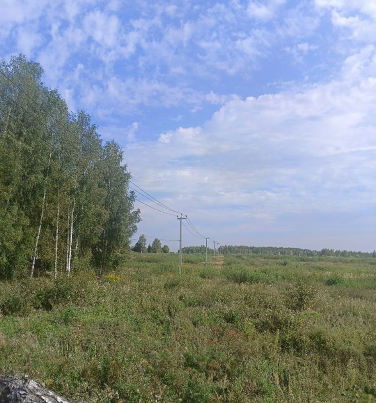 Латифундии уч.№9 - Андрюшкино Латифундия