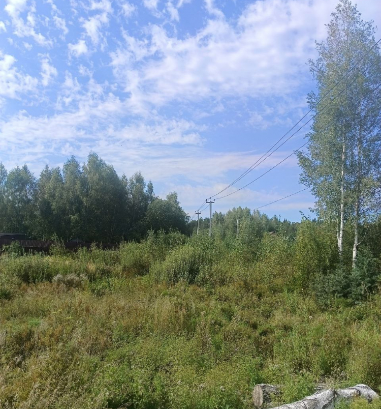 Латифундии уч.№9 - Андрюшкино Латифундия