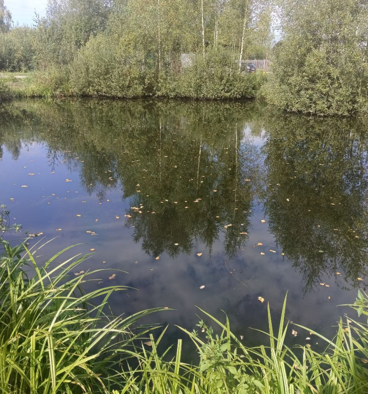 Латифундии уч.№9 - Андрюшкино Латифундия