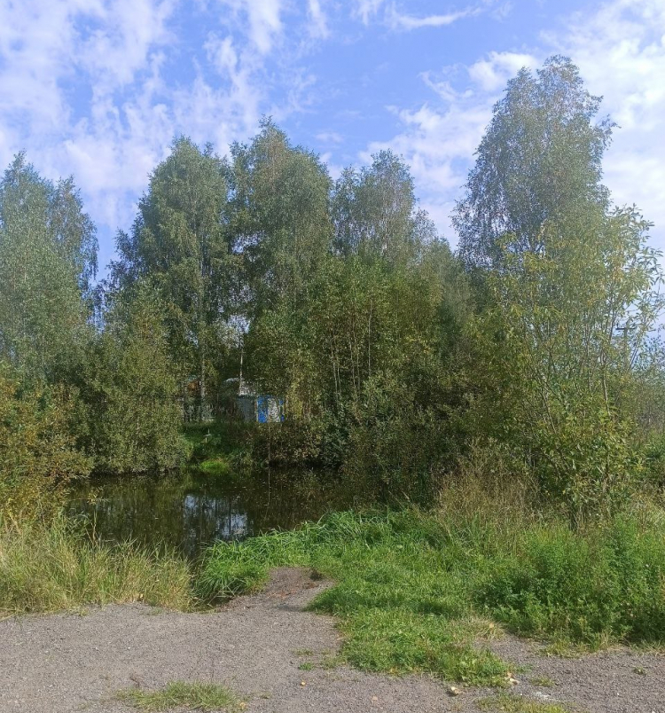 Латифундии уч.№9 - Андрюшкино Латифундия