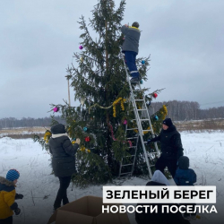 около КПП поселка уже начали наряжать новогоднюю елку